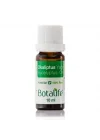 BOTALİFE Okaliptus Yağı 10 ML