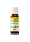 Botalife Saf Susam Yağı 20 ML