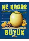 Boyutları Karşılaştırmanın Tuhaf Yolları - Ne Kadar Büyük