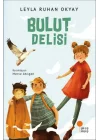Bulut Delisi