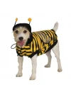 Bumble Bee Evcil Hayvan Kostümü, Large