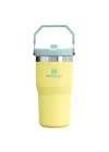 Buz Akışı GO 600ml/20oz Flip Straw Wtr Btl Pomelo