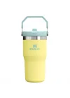 Buz Akışı GO 600ml/20oz Flip Straw Wtr Btl Pomelo