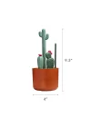 Cacti şişe temizleme fırçası seti, terakota, 4 parçalı set