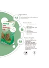 ÇAM TEREBENTİN YAĞI 50 ML