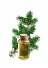 Çam Terebentin Yağı 50 ML x 2 Adet