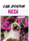 Can Dostum Kedi
