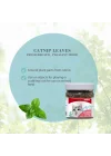 Catnip Kedi Otu 230 ml 20 gr, Asorti
