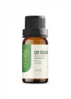 Çay, Ağacı, Yağı, (10ml.)