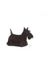 Ccn Dermacomfort Köpek Yaş Mama, 85 Gr