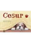 Cesur