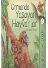 Çevir Bak Ormanda Yaşayan Hayvanlar