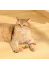 CHARMY BRANCY CATNİPLİ KEDİ OYUNCAĞI RED