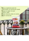 Çiçekli Bitkiler İçin Saksı Toprağı 10 Lt