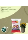 Çiçekli Bitkiler İçin Saksı Toprağı 10 Lt
