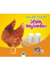 Çiftlik Hayvanları / Doğru mu Yanlış mı?