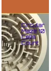 Circular Maze 10 Cells Count