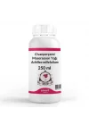 Civanperçemi Maserasyon Yağı Achillea millefolium 250 ml