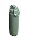 Classic Wellspring Bottle 0,70 LT (24 OZ) - Hammertone Green