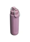 Classic Wellspring Bottle 0,70 LT (24 OZ) - Purple Smoke Gloss