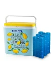 CLB30LM Limon Desenli Buzluk, 30 Litre + 3 Adet Buz Kaseti 400gr