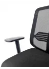 Comfort Black Personal Ofis Çalışma Koltuğu