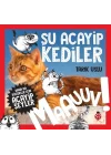 Daha Küçükler İçin Şu Acayip Kediler