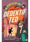 Dedektif Ted-Hadi Olayı Çöz!
