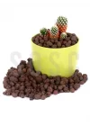 Dekoratif İthal Kil Bilyesi 3 Lt