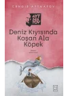 Deniz Kıyısında Koşan Ala Köpek