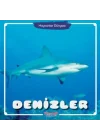 Denizler - Hayvanlar Dünyası