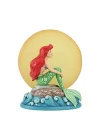 Disney 6005954 Geleneksel Figür, Renkli, Tek Beden