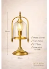 Diya Lina Ophanim Series Abajur ve Gold Masa Lambası