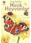 Doğa Kartları - Minik Hayvanlar