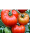 Doğal Marmande Domates Tohumu