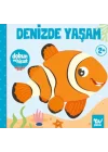 Dokun ve Hisset Denizde Yaşam