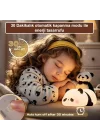 Dokunmatik Silikon Panda Gece Lambası/GT-CL17