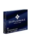 Dolma Kalem Kartuşu 6lı Siyah D10275204