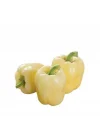 DOLMALIK BİBER BEYAZ (ÇOKLU TOHUM) - 3 Gram