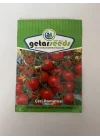 DOMATES CHERY (ÇOKLU TOHUM) - 100 Adet
