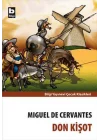 Don Kişot