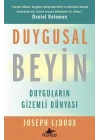 Duygusal Beyin: Duyguların Gizemli Dünyası