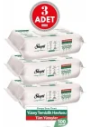 Easy Clean Yüzey Temizlik Havlusu 100 lü x 3 Adet