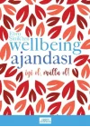 Ebru Şinikten Wellbeing Ajandası - Kırmızı