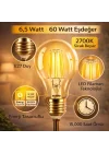 Ecolite 6,5W LED Filament Ampul E27 | 60W Eşdeğer | 2700K Sarı Işık | 810 Lümen | 2’li Paket | Enerji Sınıfı E