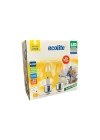 Ecolite 6,5W LED Filament Ampul E27 | 60W Eşdeğer | 2700K Sarı Işık | 810 Lümen | 2’li Paket | Enerji Sınıfı E