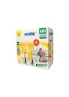 Ecolite 6,5W LED Filament Ampul E27 | 60W Eşdeğer | 2700K Sarı Işık | 810 Lümen | 2’li Paket | Enerji Sınıfı E