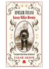 Efeler İsyanı - Kuvayı Milliye Direnişi