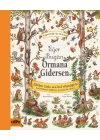 Eğer Bugün Ormana Gidersen - Kahverengi Ayı Ormanı