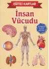 Eğitici Kartlar İnsan Vücudu
